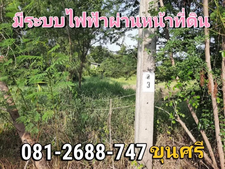 ขายที่ดินหนองเพรางาย 1ไร่ ซอยเคหะ-บ้านใหม่ 43 ติดถนนคอนกรีต อไทรน้อย จนนทบุรี