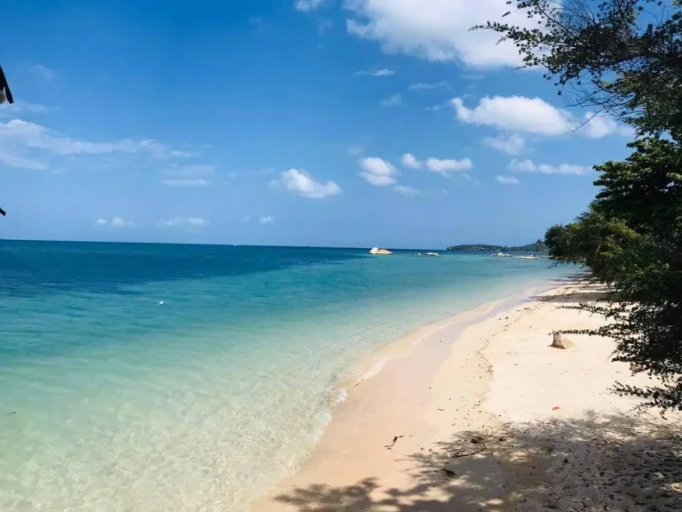 ขายที่ดินติดชายทะเลเกาะพะงัน 1 ไร่ เอกสารสิทธิ โฉนด เห็นพระอาทิตย์ตก หาดส่วนตัว เจ้าของขายเอง