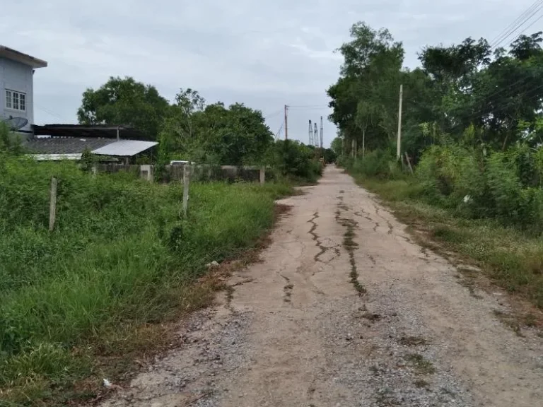 ที่ดิน 100 ตรว ให้เช่าระยะยาว ทำโกดังเก็บของ ห้องพักคนงาน