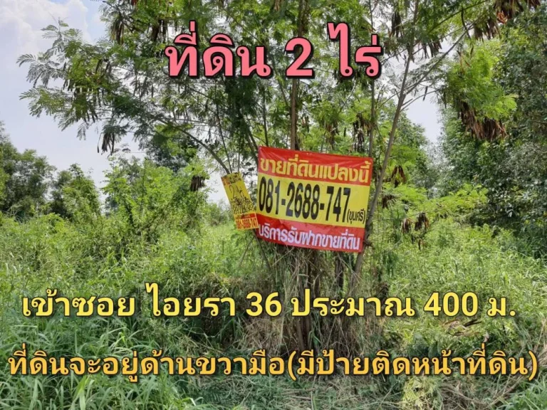 ขายที่ดิน 2 ไร่ ถมแล้วทั้งแปลง ซอย ไอยรา 36 อำเภอ คลองหลวง จังหวัด ปทุมธานี