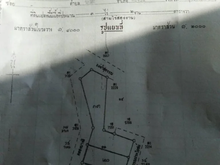 ขายที่ดินเปล่าติดแม่น้ำท่าจีน 2 ไร่ 2 งาน อเดิมบาง จสุพรรณบุรี