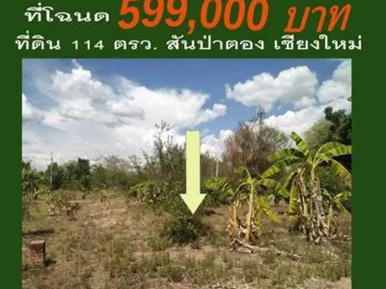 ขายที่ดินเชียงใหม่ 114 วา หลัง รรสันป่าตอง รพสันป่าตอง ใกล้วิทยาลัยเทคโนเชียงใหม่ 599 แสน แบล็ค