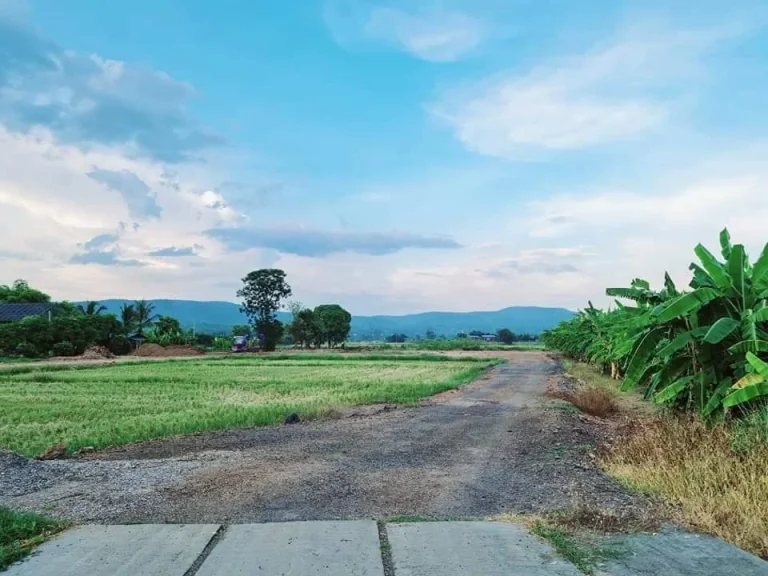 ที่เปล่าเหมาะสร้างบ้านสวนหรือร้านค้าแม่แฝกสันทรายเชียงใหม่