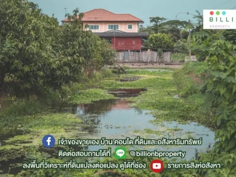 เมืองหลวงควันและฝุ่นมากมาย มองหาธรรมชาติที่แสนสบายอยู่หรือป่าว