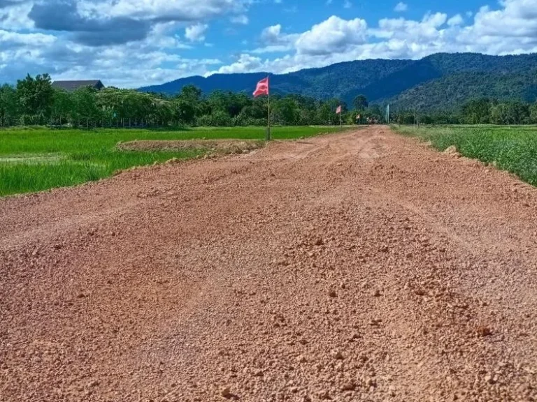 ขายที่ดินทำเลบ้านพักต่างจังหวัด ตเขาพระ จนครนายก ทิวเขารอบตัว 360 องศา