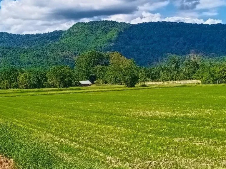 ขายที่ดินทำเลบ้านพักต่างจังหวัด ตเขาพระ จนครนายก ทิวเขารอบตัว 360 องศา