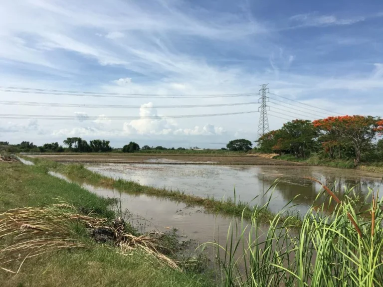 ขายที่ดินแปลงสวย ติดถนนดำ ติดคลองชลประทาน ขนาดที่ดิน 7 ไร่ 3 งาน 79 ตรว