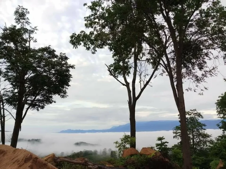 ที่ดินเนินเขา ทะเลหมอก ธรรมชาติ สุดๆ วิวเขาค้อ ภูทับเบิก ภูลมโล ล้อมรอบ