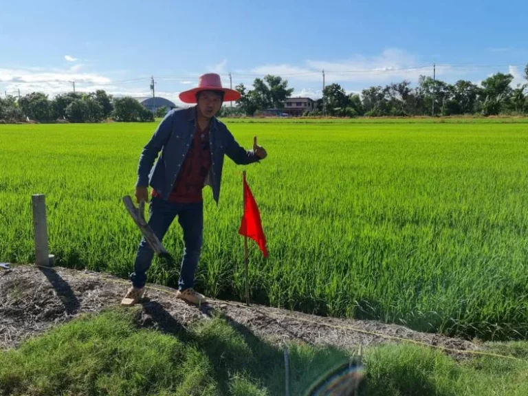 ที่ดินทำเลทอง ที่ดินแบ่งแปลง บ้านคลองขวาง อไทรน้อย จนนทบุรี