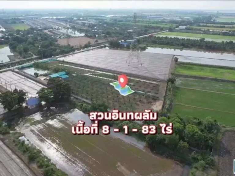 ที่ดินแบ่งแปลงสวนอินทผาลัม ถนนเลียบคลองตาคล้าย บางบัวทอง จนนทบุรี