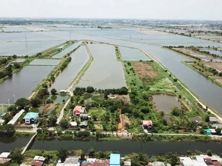 ขายที่ดินเปล่า 40 ไร่ ติดถนนสุขุมวิท สายเก่า ตคลองเรียบคลองใหม่ คลองด่าน บางบ่อ สมุทรปราการ