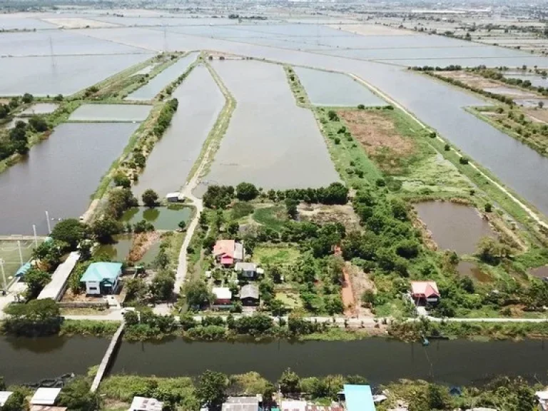 ขายที่ดินเปล่า 40 ไร่ ติดถนนสุขุมวิท สายเก่า ตคลองเรียบคลองใหม่ คลองด่าน บางบ่อ สมุทรปราการ