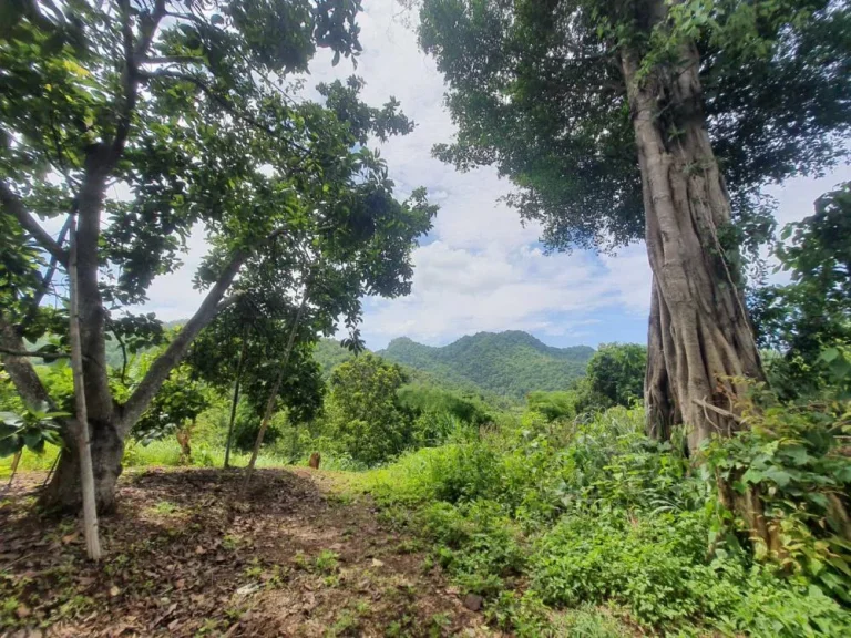 ขายที่เนินดอยบ้านปงหางดงห่างถนนหลักเพียง50เมตร โฉนดพร้อมโอน