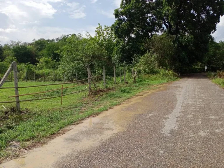 ขายที่ดินบ้านปงหางดงห่างถนนหลักเพียง 600เมตร ราคาถูก