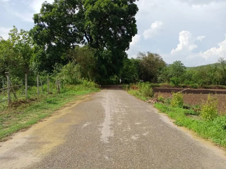 ขายที่ดินบ้านปงหางดงห่างถนนหลักเพียง 600เมตร ราคาถูก