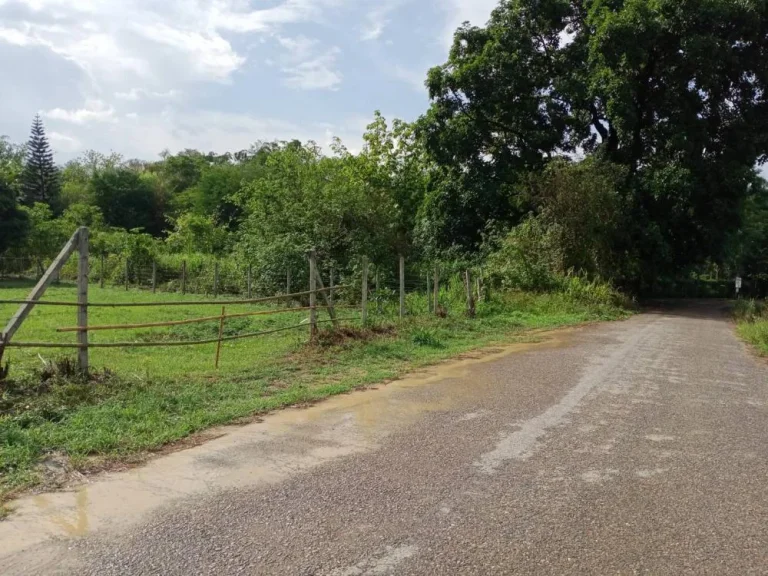 ขายที่ดินบ้านปงหางดงห่างถนนหลักเพียง 600เมตร ราคาถูก