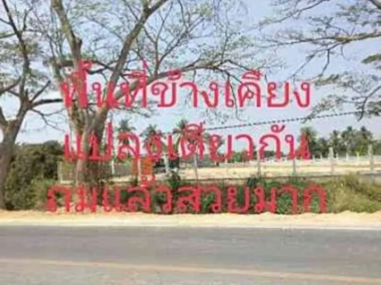 ขายที่ดินไร่มะนาวเก่า อำเภอท่ายาง จังหวัดเพชรบุรี