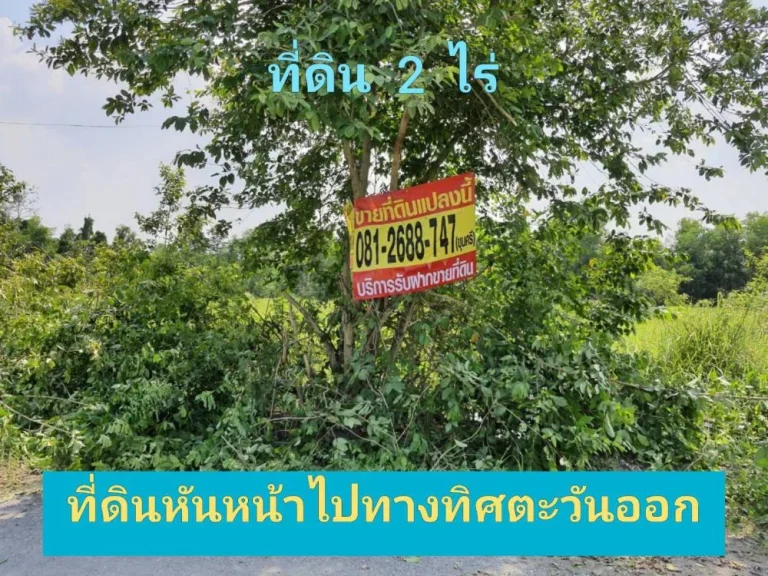 ขายต่ำกว่าราคาตลาด ที่ดิน 2 ไร่ ซอย ไอยรา 36 อำเภอ คลองหลวง จังหวัด ปทุมธานี