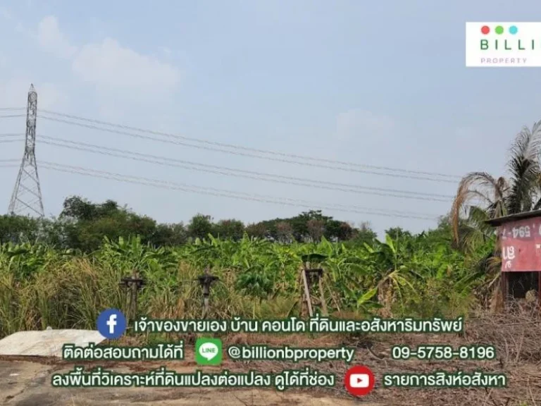 ที่ดินแปลงใหญ่ อยู่ไม่ไกลจากกรุงเทพฯ บางกรวย - ไทรน้อย