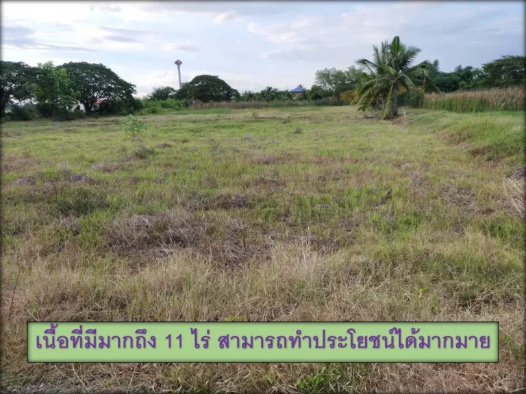 ขายบ้านพร้อมที่ดิน เนื้อที่ 11 ไร่ทำเลดี เงียบสงบ ใกล้ท่าอากาศยานชัยภูมิ