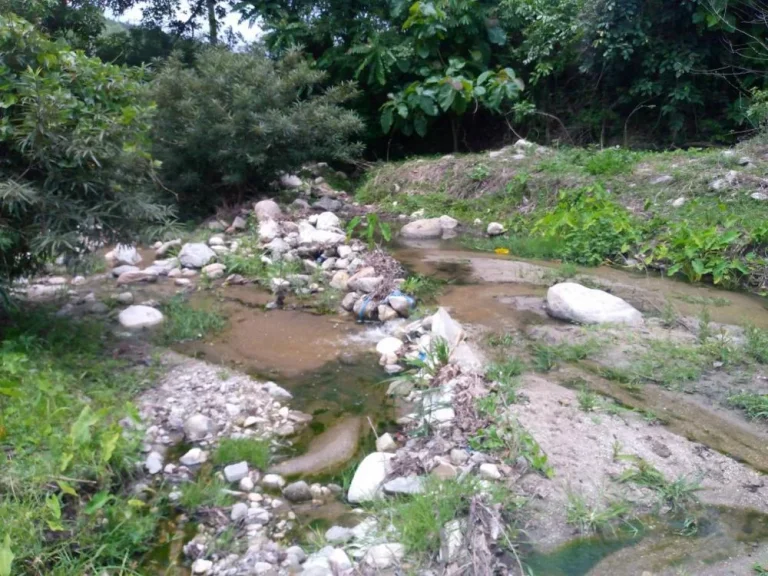 ขายที่ดินบ้านกองแขกแม่แจ่ม หน้าติดถนนหลังติดลำธาร โฉนดพร้อมโอน