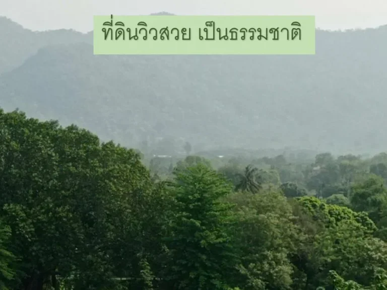 ขายที่ดินพื้นที่สวย 38ไร่ ติดแม่น้ำ 200เมตร อยู่แหล่งท่องเที่ยว อไทรโยค