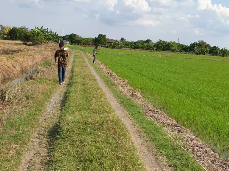 ที่ดินสวยๆทำเลดีติดถนนใหญ่แบ่งล็อค อยู่ข้าง อบตหนองเพรางาย จนนทบุรี