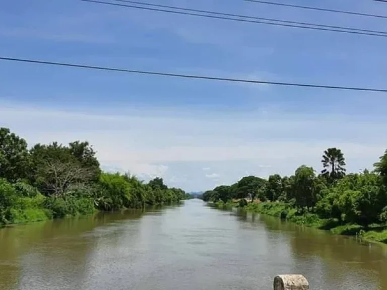 ขายที่ดิน ขายที่ดินแบ่งแปลงขนาด 100ตรวถึง 2ไร่ โฉนดครุฑแดง ที่ดินถมแล้ว น้ำประปา ไฟฟ้าพร้อม ตวังศิลา อท่าม่วง จกาญจนบุรี โทร086 337 4861 เรณู