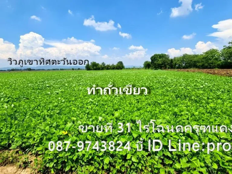 ขายที่ดิน 31 ไร่ๆละ 120000 บาทโฉนดครุฑแดง ติดคลองน้ำ