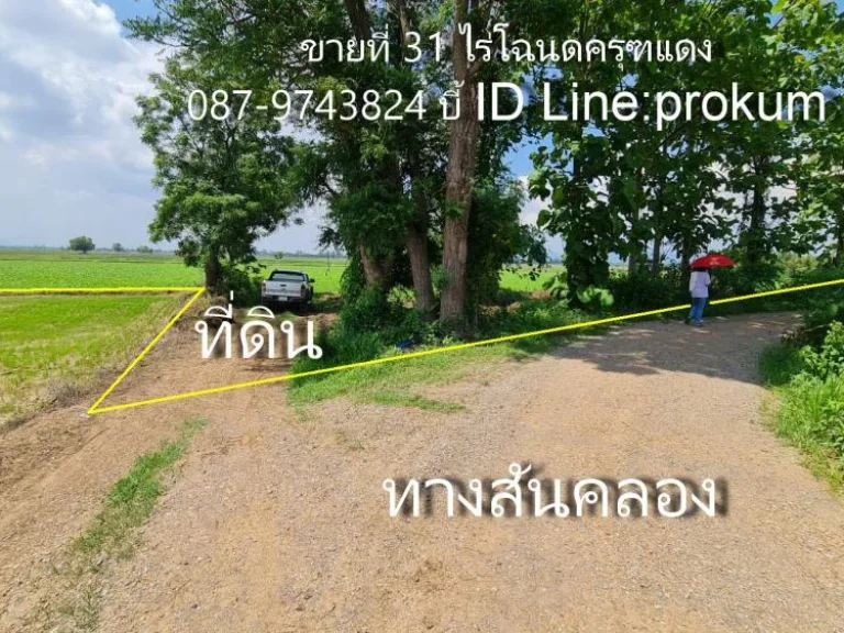 ขายที่ดิน 31 ไร่ๆละ 120000 บาทโฉนดครุฑแดง ติดคลองน้ำ