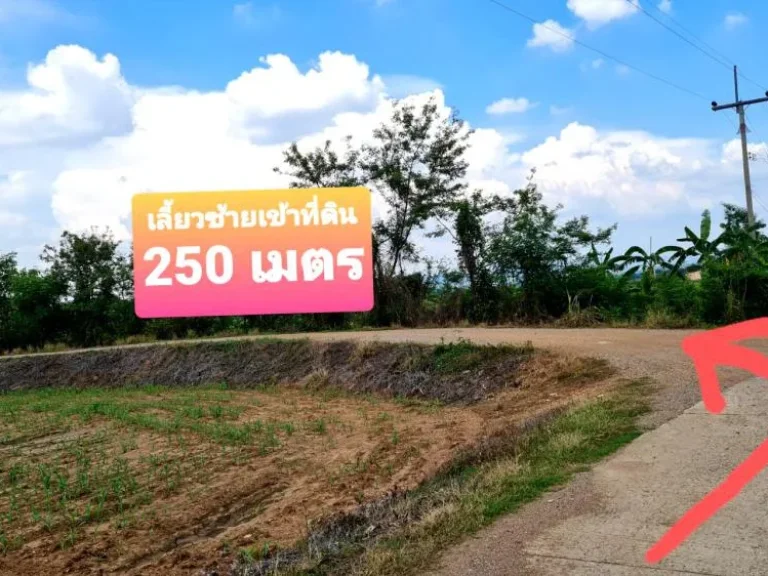 ขายที่ดิน 31 ไร่ๆละ 120000 บาทโฉนดครุฑแดง ติดคลองน้ำ