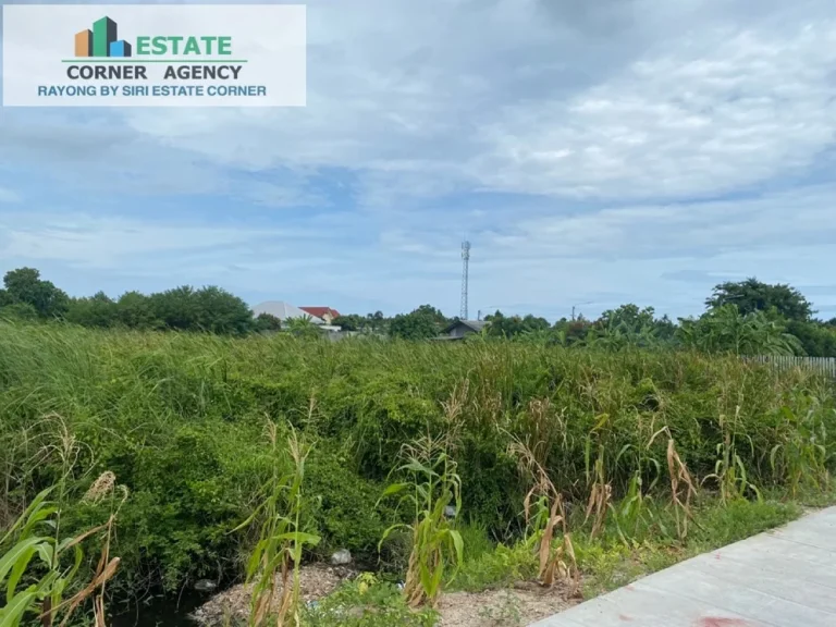 ขายที่ดินเปล่า ตัวเมืองระยอง ใกล้หาดสุชาดา เนื้อที่ 397 ตรว อเมือง จระยอง