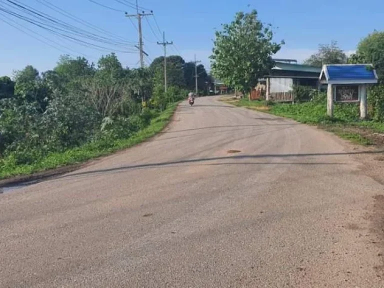 ขายที่ดินติดถนนค้าขายได้ สันโป่งแม่ริม วิวดอย ราคาน่าลงทุน