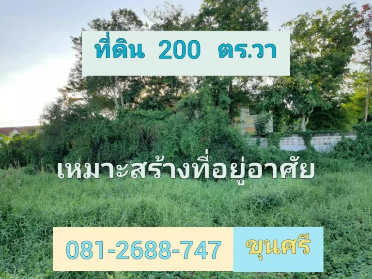 ขายที่ดินติดถนนลาดยาง 200 ตารางวา ถนน บางกรวย-ไทรน้อย อำเภอไทรน้อย จังหวัดนนทบุรี