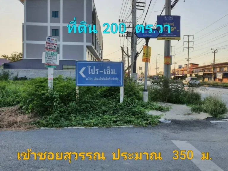 ขายที่ดินติดถนนลาดยาง 200 ตารางวา ถนน บางกรวย-ไทรน้อย อำเภอไทรน้อย จังหวัดนนทบุรี