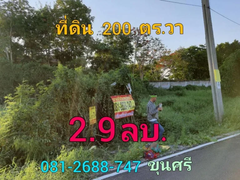 ขายที่ดินติดถนนลาดยาง 200 ตารางวา ถนน บางกรวย-ไทรน้อย อำเภอไทรน้อย จังหวัดนนทบุรี