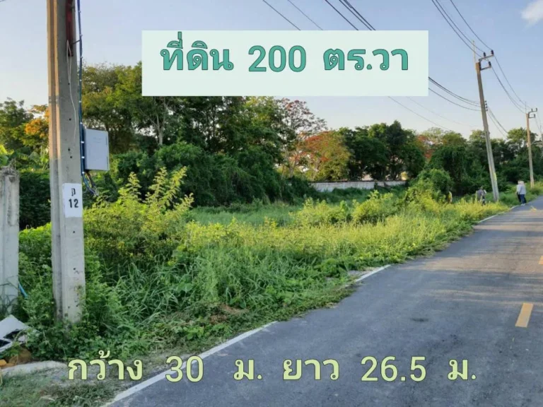 ขายที่ดินติดถนนลาดยาง 200 ตารางวา ถนน บางกรวย-ไทรน้อย อำเภอไทรน้อย จังหวัดนนทบุรี