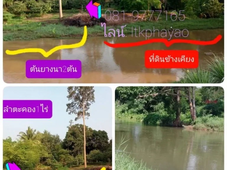 ที่ดินติดคลองน้ำลำตะคอง1ไร่ ห่างเขื่อนลำตะคอง2กิโลเมตร ตลาดบัวขาว อสีคิ้ว