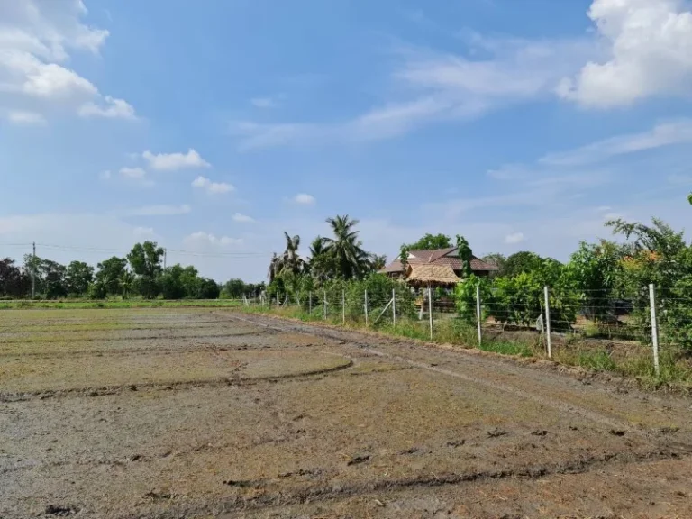 ขายที่ดินทำเลทอง บ้านคลองขวาง อไทรน้อย นนทบุรี น้ำ-ไฟ พร้อม ทำเลดี เดินทางสะดวก