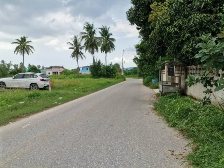 ขายที่ดินใกล้สนามบินอู่ตะเภา พลูตาหลวง สัตหีบ เจ้าของขายเอง