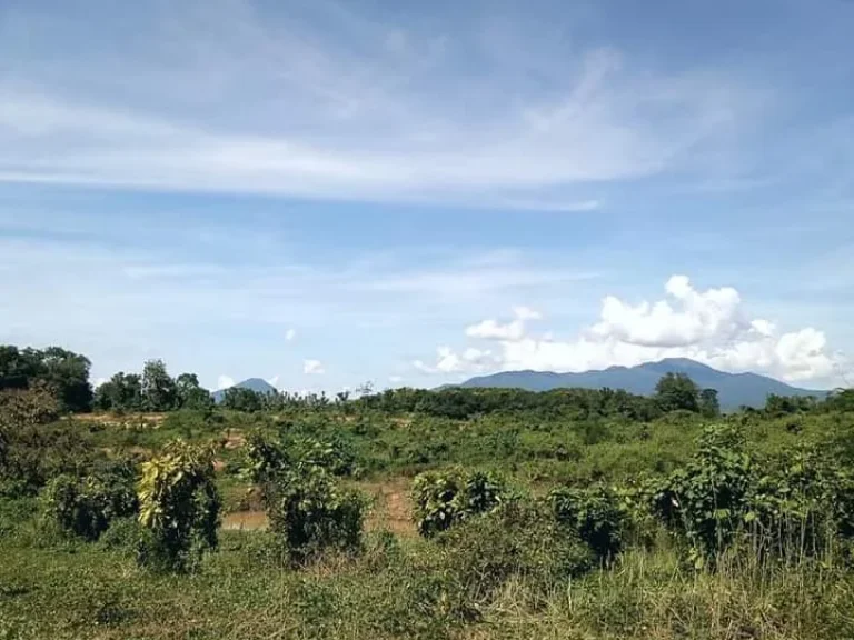 ที่ดินแปลงใหญ่ โฉนด เนิน วิวสวย ราคาถูก อุตรดิตถ์