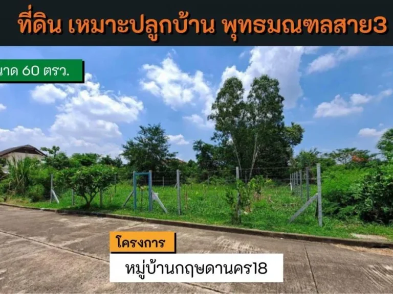 ที่ดินเปล่า เหมาะสำหรับปลูกบ้าน โครงการ หมู่บ้านกฤษดานคร18 พุทธมณฑลสาย3 ขนาด 60 ตรว ขายต่ำกว่าราคาประเมิน