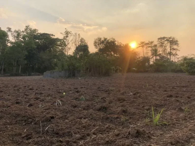 ขายที่ดินเปล่า ติดถนนใหญ่ กุมภวาปี-ศรีธาตุ จังหวัดอุดรธานี