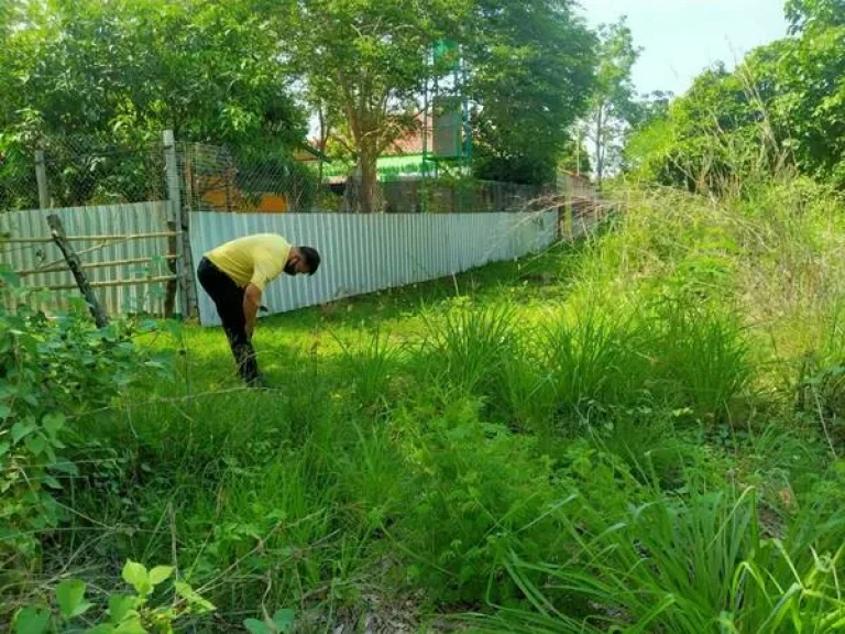 อ่างเก็บน้ำหนองตะไก้ ที่ดิน 1-0-0 THB800000 ตหนองบัว อเมือง จอุดรธานี