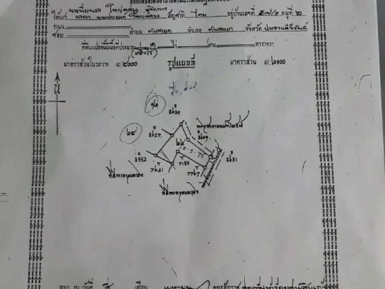 ขายที่ใกล้ทะเล 2 ไร่ครึ่ง ทับสะแก ประจวบคีรีขันธ์