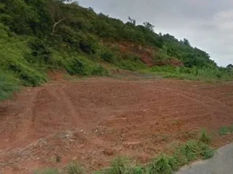 ขายที่ดินใกล้แนวรถไฟฟ้าและสนามบินอู่ตะเภา พลูตาหลวง สัตหีบ เพียง 400เมตร จาก ถนนเทศบาล99 เนื้อที่ 10ไร่ 1งาน