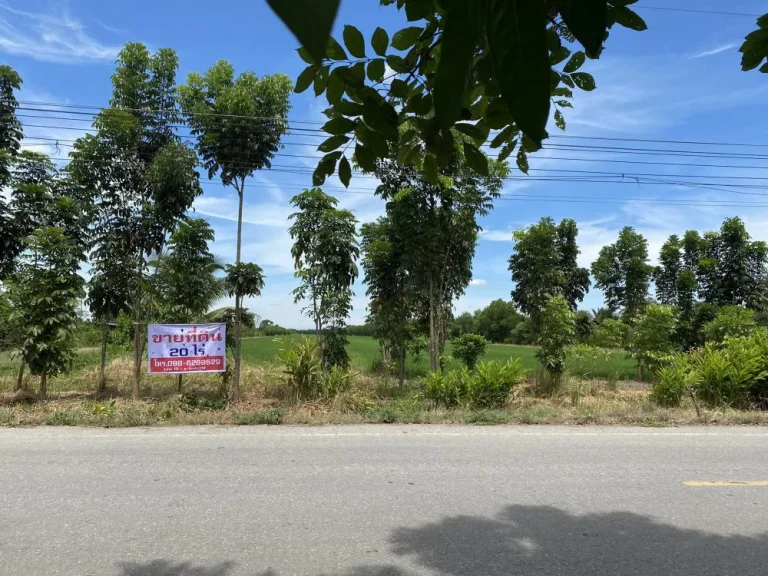 ขายที่ดิน 20 ไร่ ติดถนนคลองชลประทาน เจ้าของขายเอง