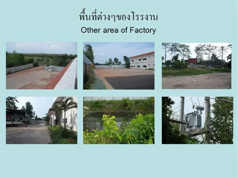 โรงงาน พร้อมที่ดิน 20 ไร่ พื้นที่สีม่วง In Industrial area purple zone 