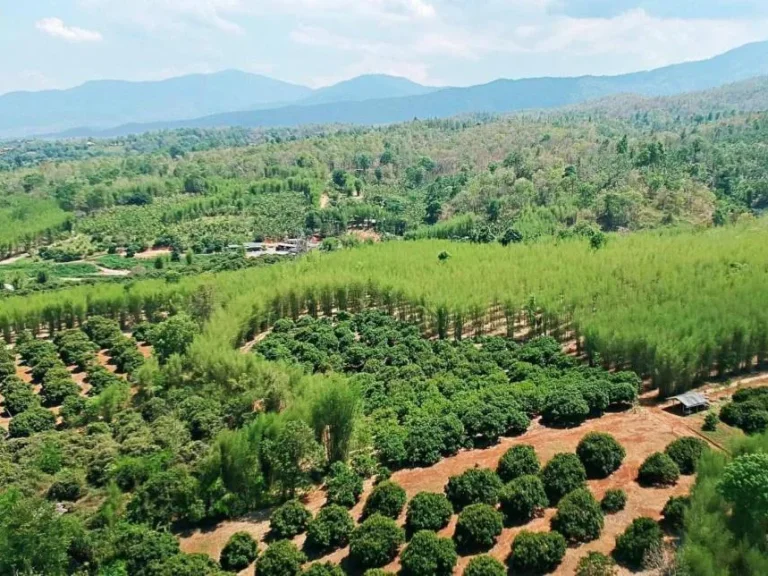 ที่นาวิวสวย อำเภอแม่ริม จังหวัดเชียงใหม่ มองเห็นวิวภูเขาสวย