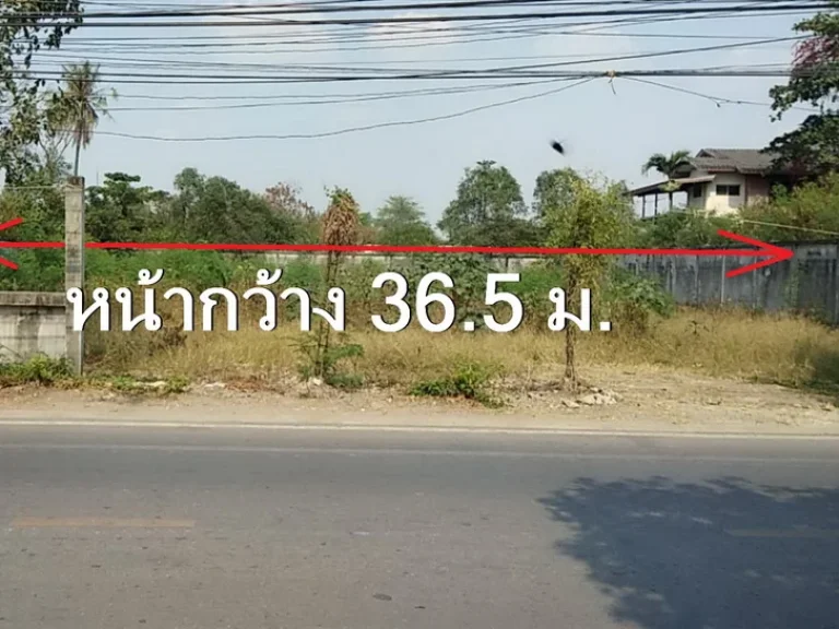 ขายที่ดิน ติดถนนซอย วัดบางน้ำผึ้ง เนื้อที่ 1-2-12 ไร่ หน้ากว้าง 365 มลึก 67 ม ขาย 24 ล้านบาท ถมแล้ว